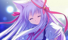 动漫版,奇幻冒险之旅，青春热血的青春篇章