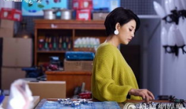 鸡毛飞上天类似电视剧,逆袭之路，从鸡毛到辉煌