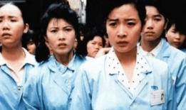 电视剧外来妹,奋斗在异乡的青春传奇