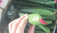 最新吃瓜爆料河北邢台,揭秘背后惊人真相